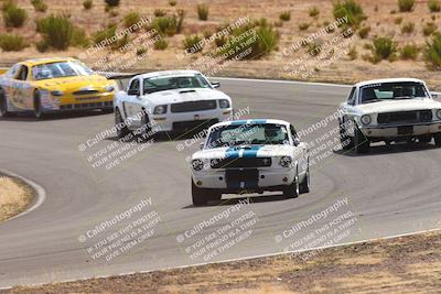 media/Oct-25-2025-West Coast Racing (Sat) [[9fdcbcd09c]]/Yellow group/Turn 3/